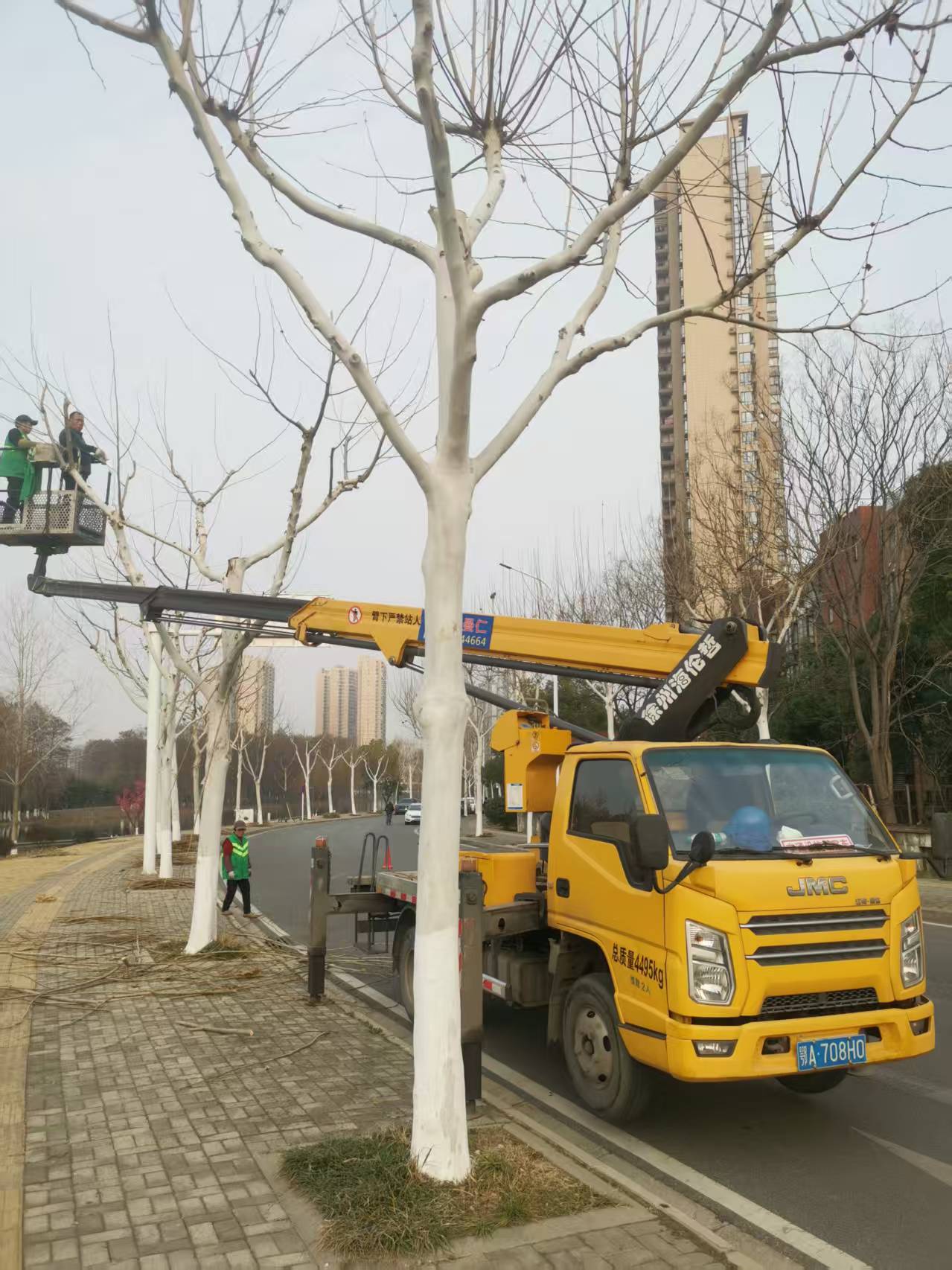 微信图片_20250218165213.jpg 微信图片_20250218165213.jpg